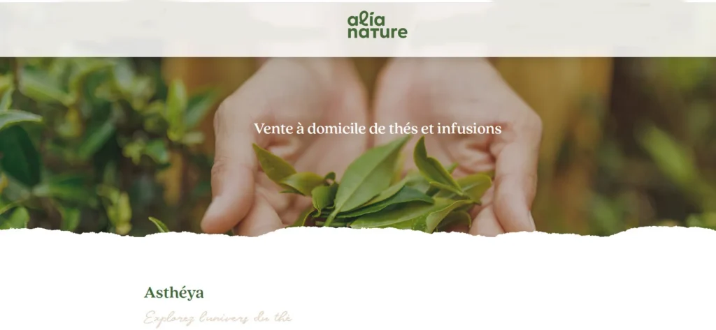 Astheya vente à domicile de thés